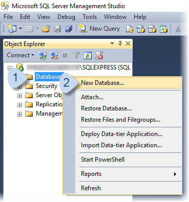 In the Object Explorer panel, right-click Databases, choose New Database.